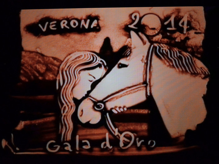 Gala Verona 2014